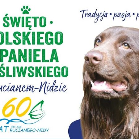 Plakat zapraszający w niedzielę 28 czerwca 2026 r. do Rucianego-Nidy na Święto Polskiego Spaniela Myśliwskiego Ruciane-Nida 2026. 