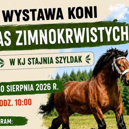 Plakat zapraszający w niedzielę 30 sierpnia 2026 r. do miejscowości Szyldak w gminie Ostróda na Wystawę Koni Ras Zimnokrwistych Szyldak 2026.