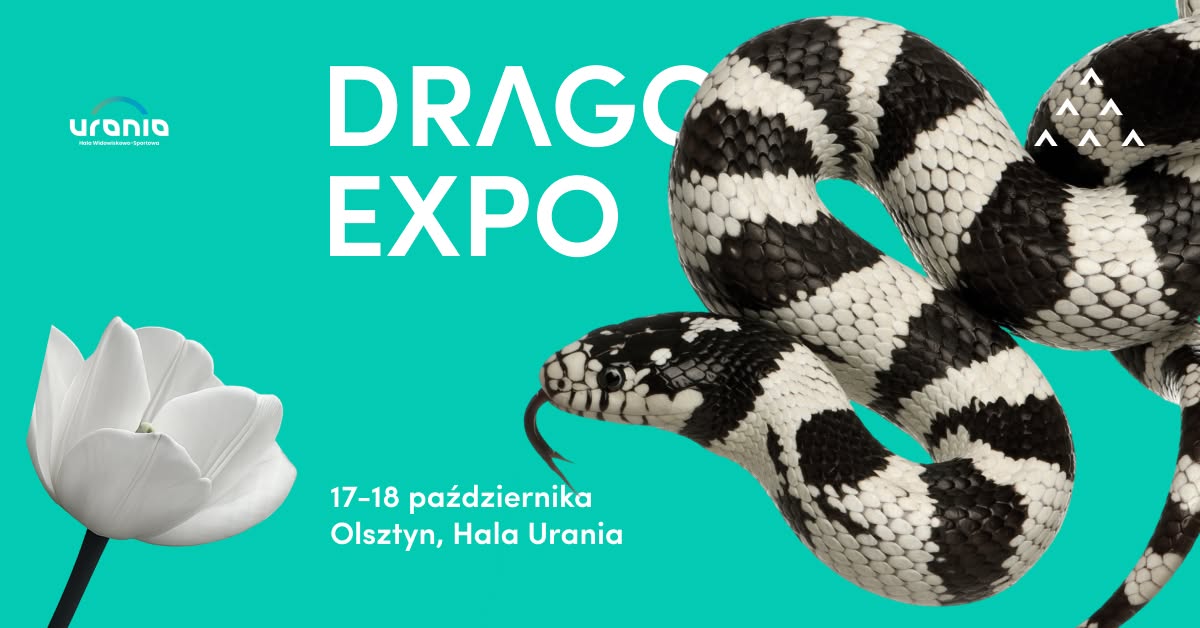 Plakat zapraszający w dniach 17-18 października 2026 r. do Olsztyna na Event Terrarystyczny i Botaniczny Dragon Expo Hala Urania 2026. 