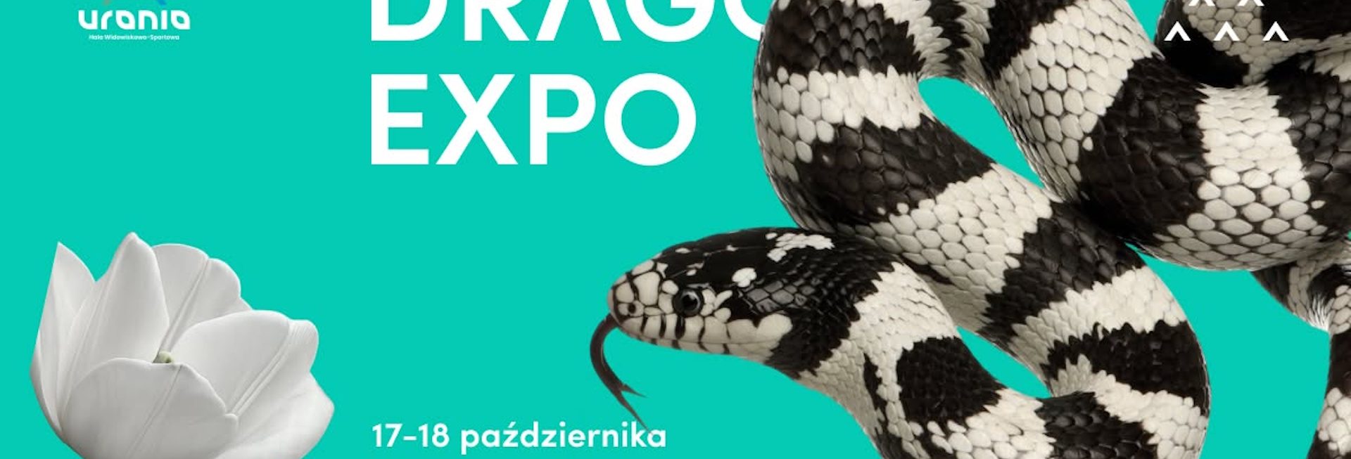 Plakat zapraszający w dniach 17-18 października 2026 r. do Olsztyna na Event Terrarystyczny i Botaniczny Dragon Expo Hala Urania 2026. 