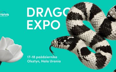 Plakat zapraszający w dniach 17-18 października 2026 r. do Olsztyna na Event Terrarystyczny i Botaniczny Dragon Expo Hala Urania 2026. 