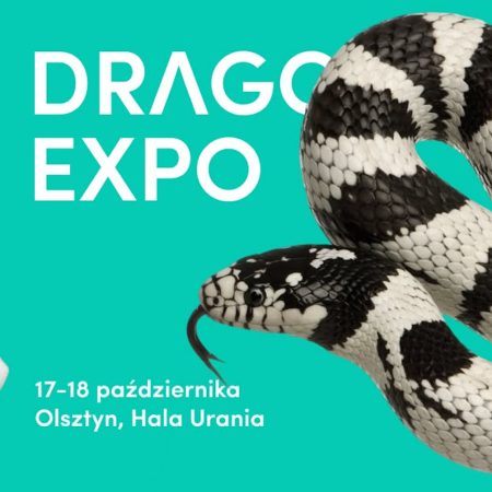 Plakat zapraszający w dniach 17-18 października 2026 r. do Olsztyna na Event Terrarystyczny i Botaniczny Dragon Expo Hala Urania 2026.