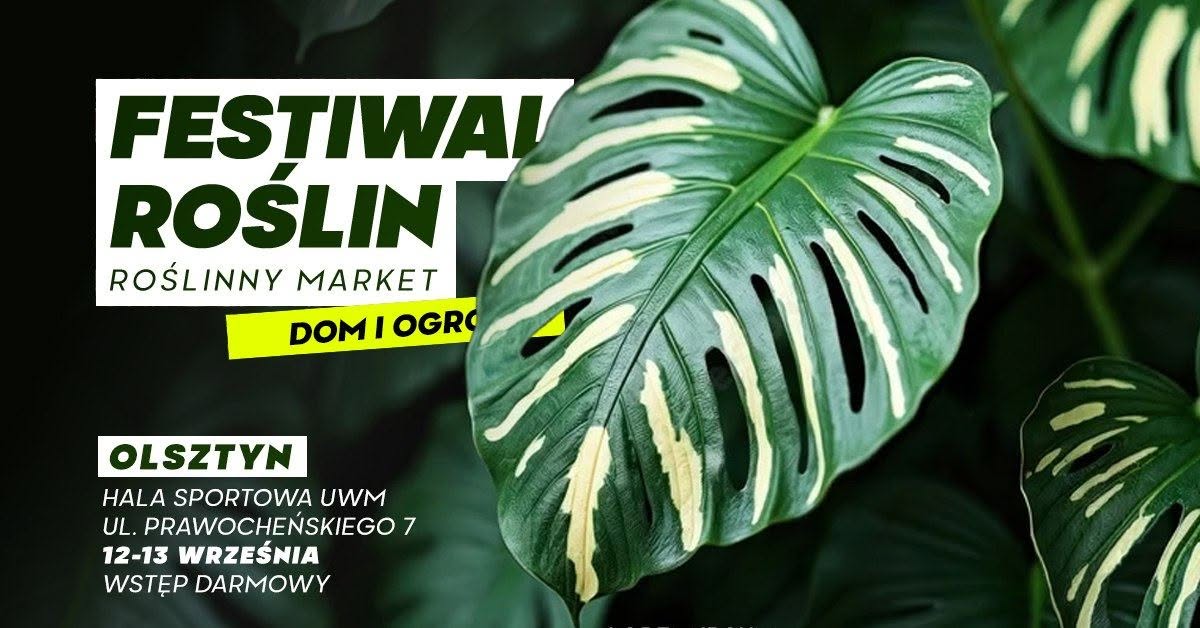 Plakat zapraszający w dniach 12-13 września 2026 r. do Olsztyna na Festiwal Roślin - Wielki Market Roślin Olsztyn 2026. 