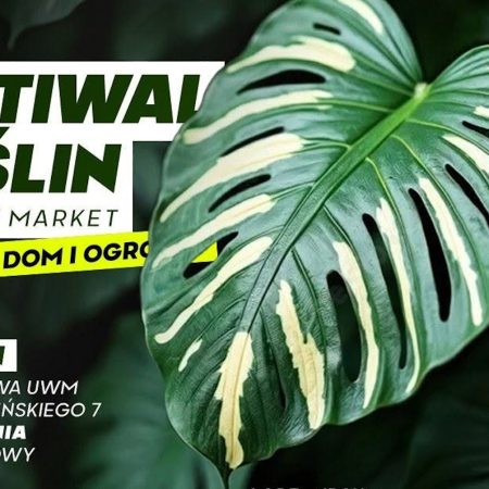 Plakat zapraszający w dniach 12-13 września 2026 r. do Olsztyna na Festiwal Roślin - Wielki Market Roślin Olsztyn 2026. 