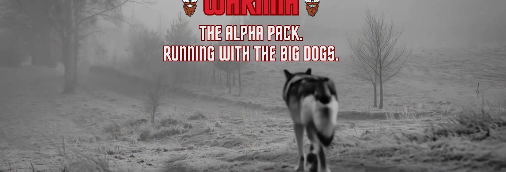 Plakat zapraszający w piątek 19 marca 2027 r. nad jezioro Kielary koło Olsztyna na Bieg BackYard Ultra Warmia – The Alpha Pack. Running with the Big Dogs – wokół jeziora Kielary 2027.
